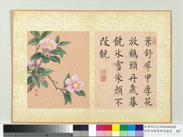 清蔣廷錫畫群芳擷秀　冊　茶花