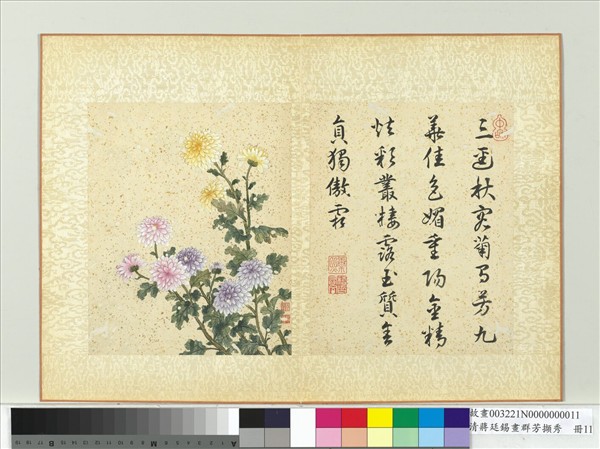 清蔣廷錫畫群芳擷秀　冊　菊花