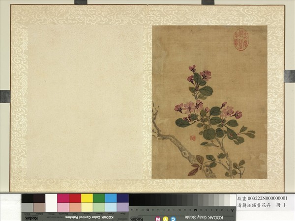 清蔣廷錫畫花卉　冊　海棠