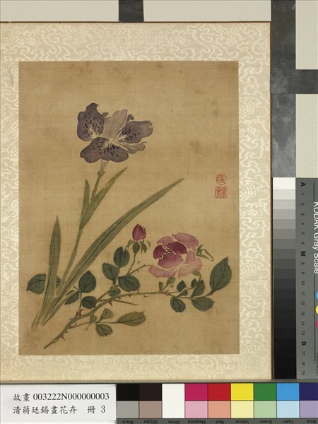 清蔣廷錫畫花卉　冊　薔薇鴛尾