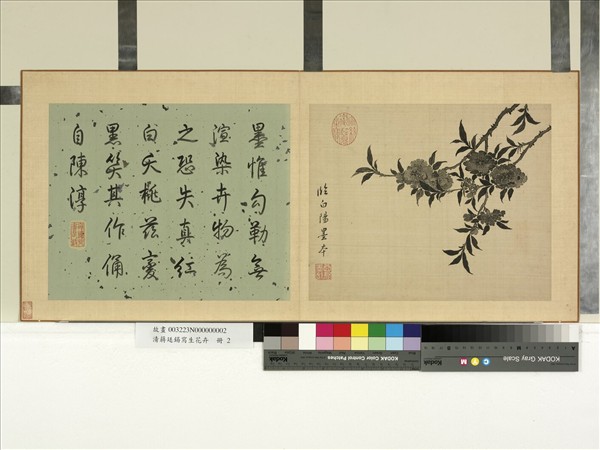 清蔣廷錫寫生花卉　冊　桃花