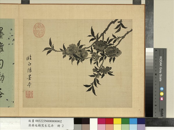 清蔣廷錫寫生花卉　冊　桃花