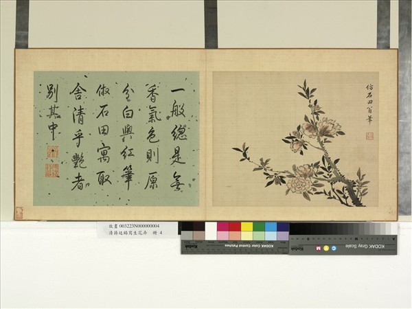 清蔣廷錫寫生花卉　冊　石榴