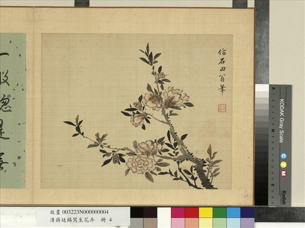 清蔣廷錫寫生花卉　冊　石榴