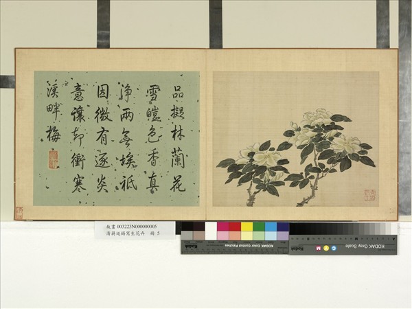 清蔣廷錫寫生花卉冊萱花- 故宮