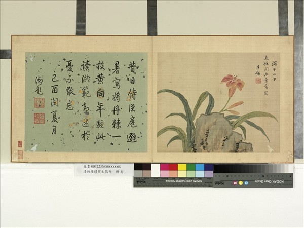 清蔣廷錫寫生花卉　冊　萱花