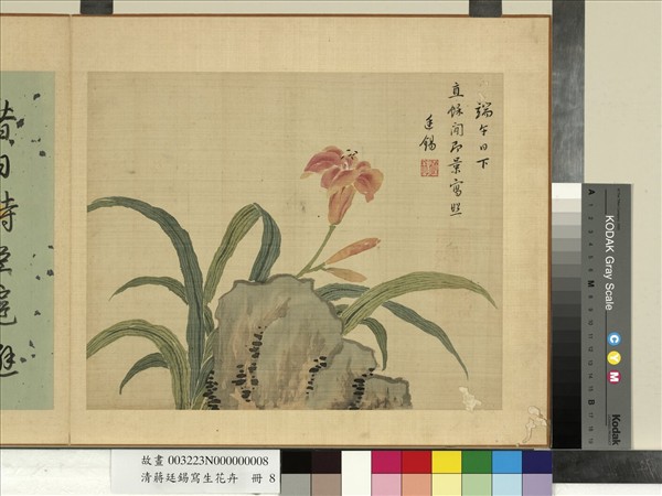 清蔣廷錫寫生花卉冊萱花- 故宮