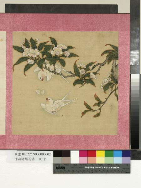 清蔣廷錫花卉　冊　桃花雙燕