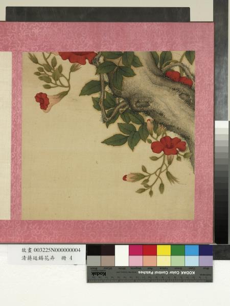 清蔣廷錫花卉　冊　凌霄花