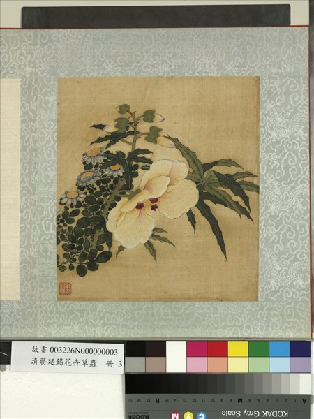 清蔣廷錫花卉草蟲　冊　秋葵雛菊