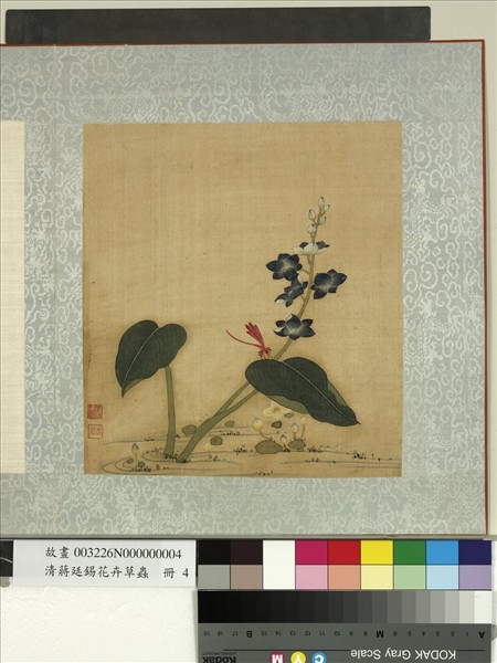 清蔣廷錫花卉草蟲　冊　豆娘