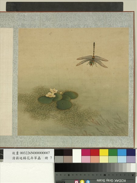 清蔣廷錫花卉草蟲　冊　蜻蜓