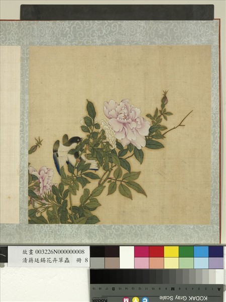 清蔣廷錫花卉草蟲　冊　玫瑰