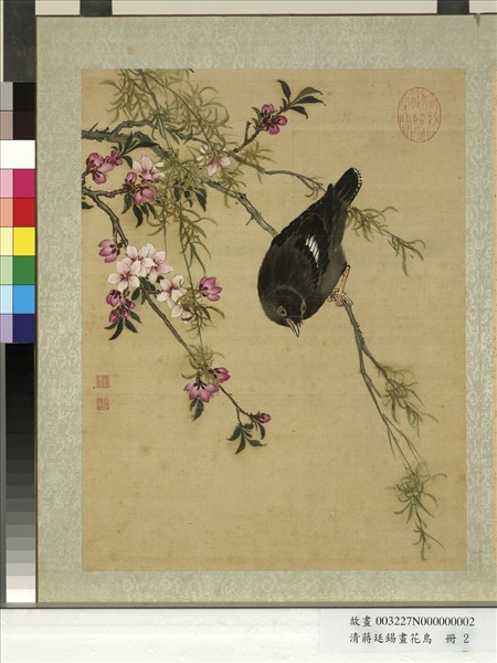 清蔣廷錫畫花鳥　冊　桃柳鸜鵒
