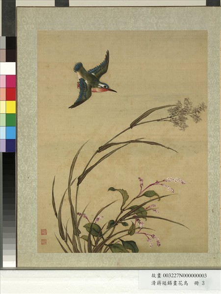 清蔣廷錫畫花鳥　冊　蘆蓼翡翠