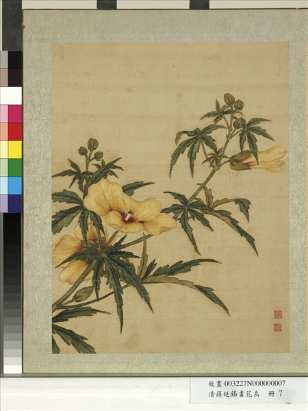 清蔣廷錫畫花鳥　冊　秋葵