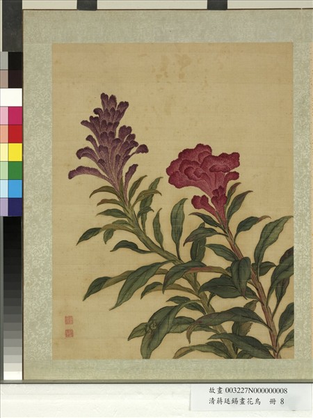 清蔣廷錫畫花鳥　冊　雞冠