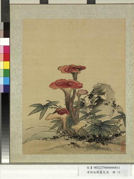 清蔣廷錫畫花鳥　冊　紫芝竹石