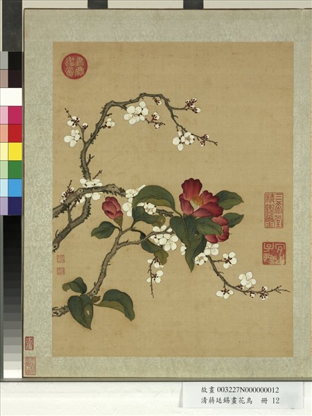 清蔣廷錫畫花鳥　冊　梅花山茶