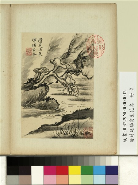 清蔣廷錫寫生花鳥　冊　瓊芝玉泉