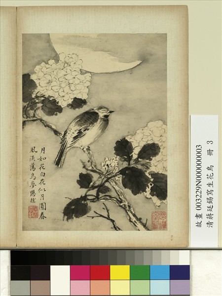 清蔣廷錫寫生花鳥　冊　鳥夢悠然