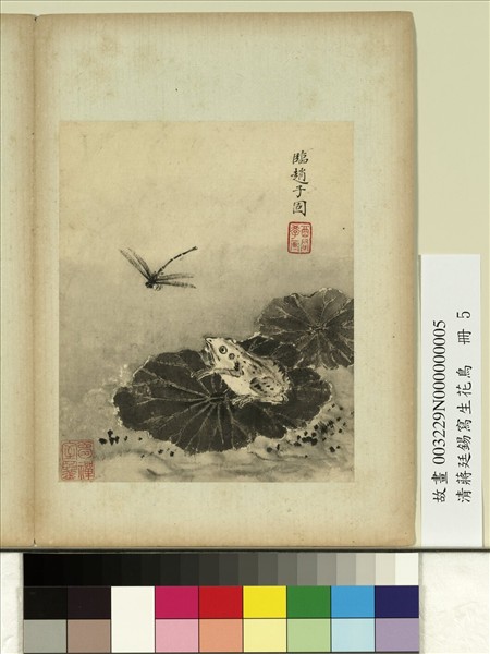 清蔣廷錫寫生花鳥　冊　荷蛙蜻蜓