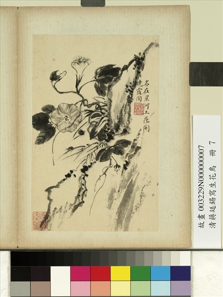 清蔣廷錫寫生花鳥　冊　花開曉露