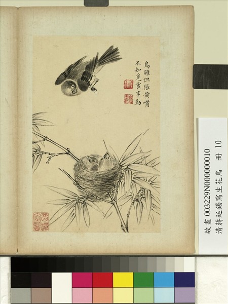 清蔣廷錫寫生花鳥　冊　鳥雛張嘴