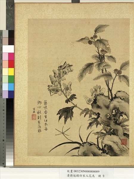 清蔣廷錫仿宋人花鳥　冊　蟋蟀