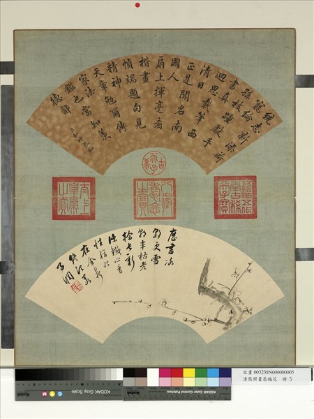 清張照畫扇梅花　冊　梅花（五）