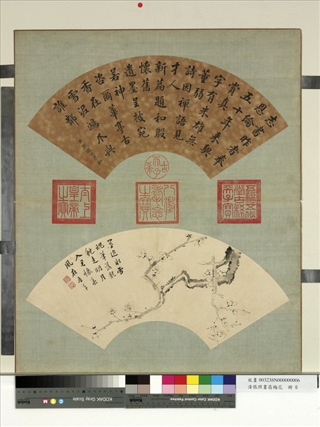 清張照畫扇梅花　冊　梅花（六）