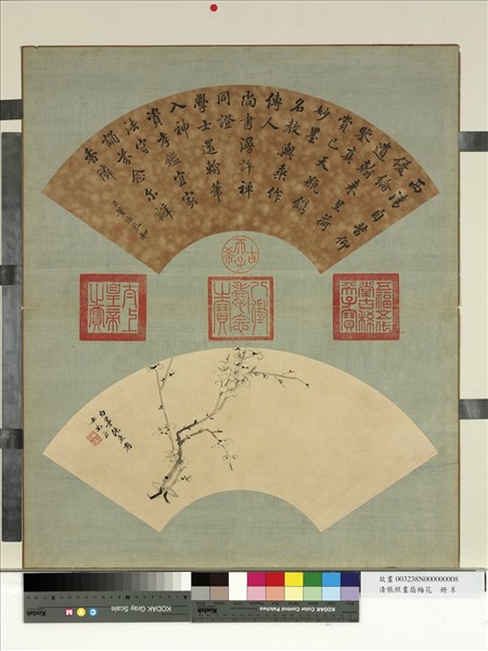 清張照畫扇梅花　冊　梅花（八）