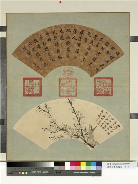 清張照畫扇梅花　冊　梅花（九）