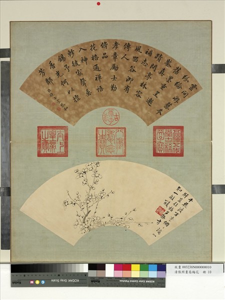 清張照畫扇梅花　冊　梅花（十）