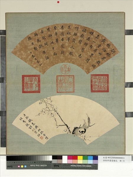 清張照畫扇梅花　冊　梅花（十一）