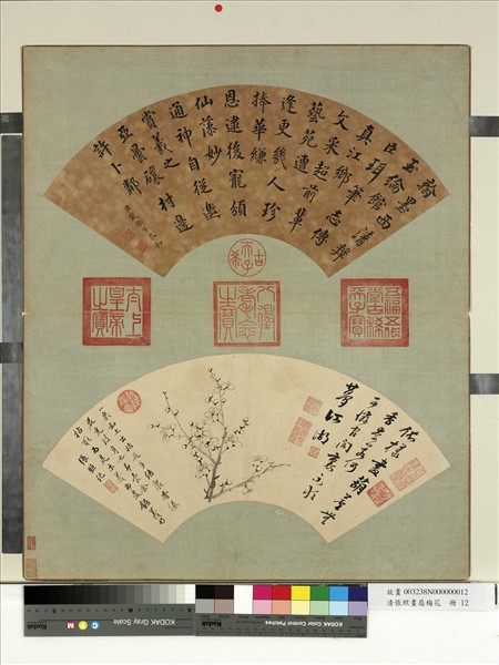 清張照畫扇梅花　冊　梅花（十二）