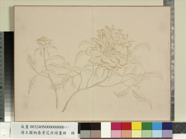 清王圖炳春景花卉詩畫冊　冊