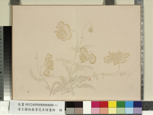 清王圖炳春景花卉詩畫冊　冊