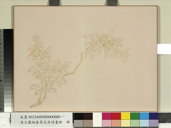 清王圖炳春景花卉詩畫冊　冊