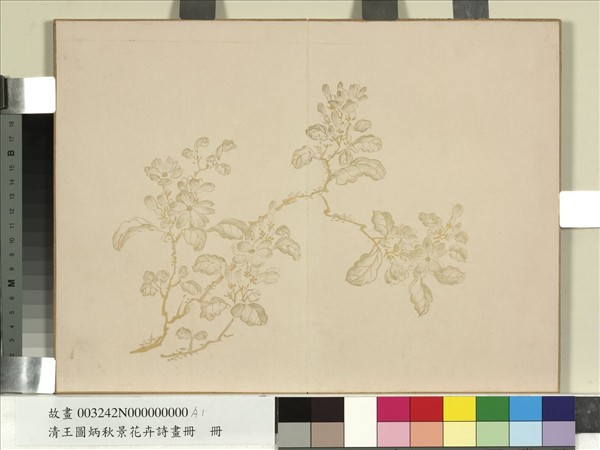 清王圖炳秋景花卉詩畫冊　冊