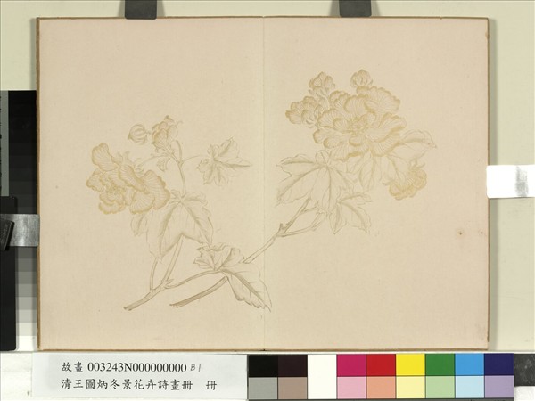 清王圖炳冬景花卉詩畫冊　冊