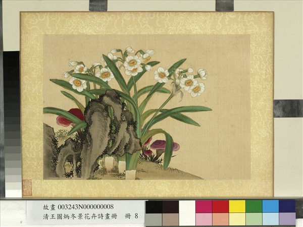 清王圖炳冬景花卉詩畫冊　冊　水仙