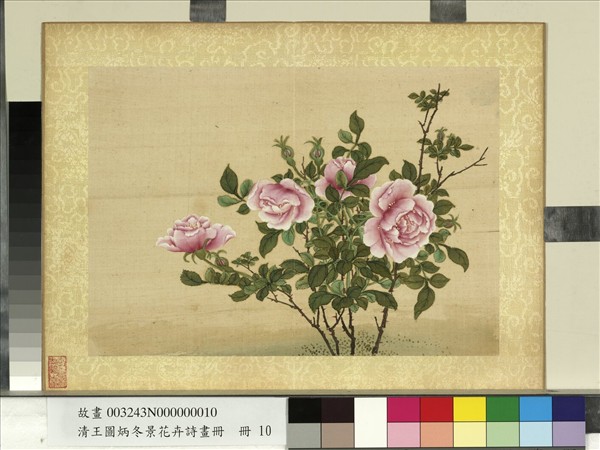 清王圖炳冬景花卉詩畫冊　冊　月季