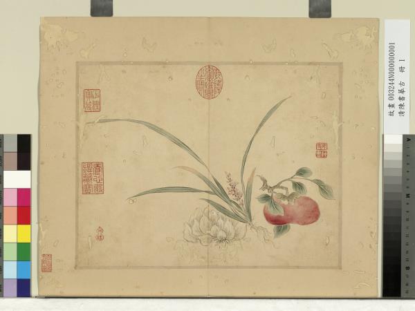 清陳書摹古　冊　花果