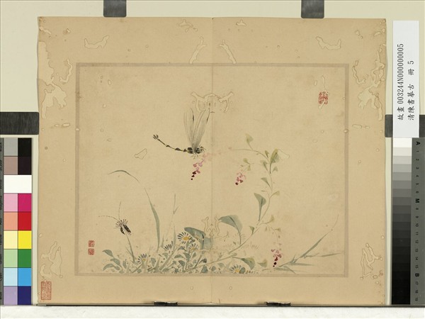 清陳書摹古　冊　菊花蜻蜓