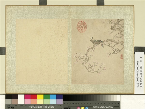 清陳書仿古花卉翎毛　冊　紅梅翎毛