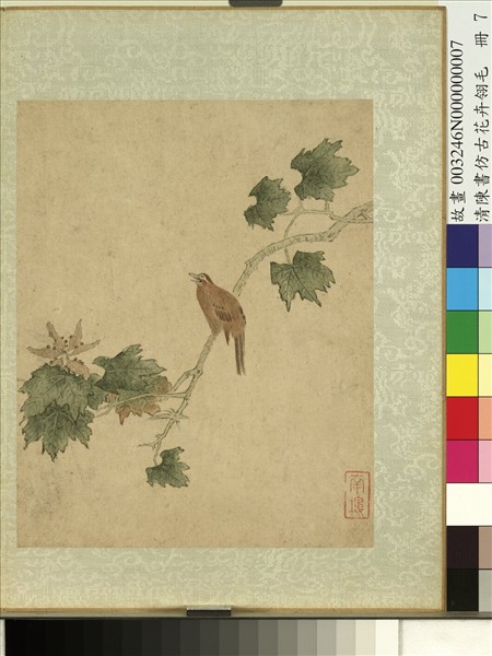 清陳書仿古花卉翎毛　冊　梧桐畫眉