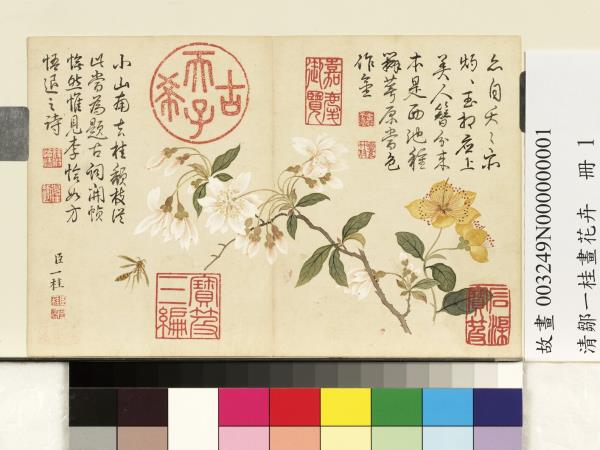 清鄒一桂畫花卉　冊　李花金絲桃