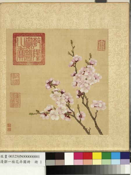 清鄒一桂花卉畫冊　冊　杏花