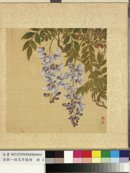 清鄒一桂花卉畫冊　冊　紫藤花